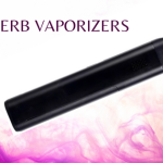 How To Choose A Dry Herb Vaporizer?